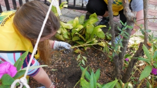 LDS-charities voluntary-work-in Tasputra-garden-2016-(20)