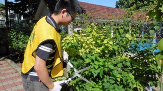 LDS-charities voluntary-work-in Tasputra-garden-2016-(22)