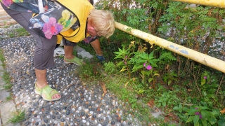 LDS-charities voluntary-work-in Tasputra-garden-2016-(24)